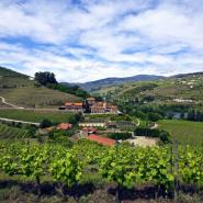 Six Senses Douro Valley 01, Lamego - Samodes Hotel, ARTEH