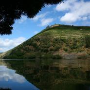 Six Senses Douro Valley 49, Lamego - Samodes Hotel, ARTEH