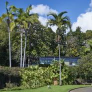 Quinta da Casa Branca 16, Funchal Hotel, ARTEH