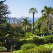 Quinta da Casa Branca 17, Funchal Hotel, ARTEH