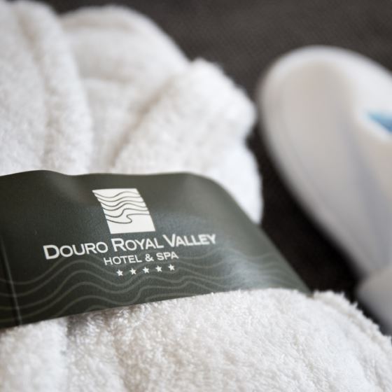 Douro Royal Valley Hotel & SPA 10, Bai�o - Ribadouro Hotel, ARTEH