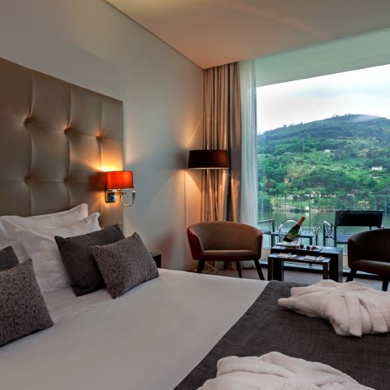 Douro Royal Valley Hotel & SPA 12, Bai�o - Ribadouro Hotel, ARTEH