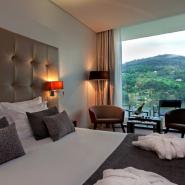 Douro Royal Valley Hotel & SPA 12, Baio - Ribadouro Hotel, ARTEH