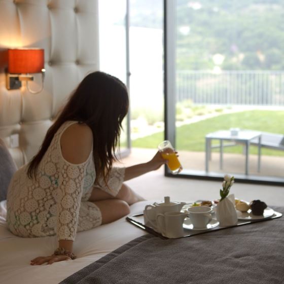 Douro Royal Valley Hotel & SPA 15, Bai�o - Ribadouro Hotel, ARTEH