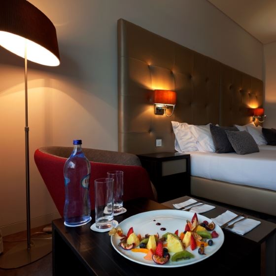 Douro Royal Valley Hotel & SPA 16, Bai�o - Ribadouro Hotel, ARTEH