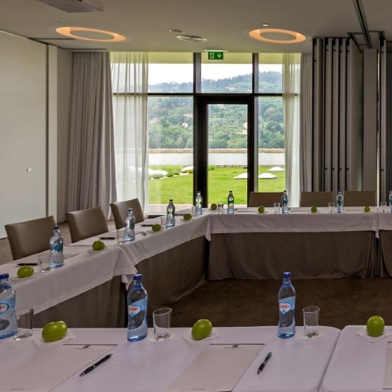 Douro Royal Valley Hotel & SPA 18, Bai�o - Ribadouro Hotel, ARTEH