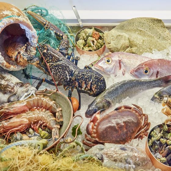 Cascade Wellness & Lifestyle Resort 140, Lagos Hotel, ARTEH