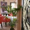 Terre Resort & SPA 25, Marrakesh Hotel, ARTEH