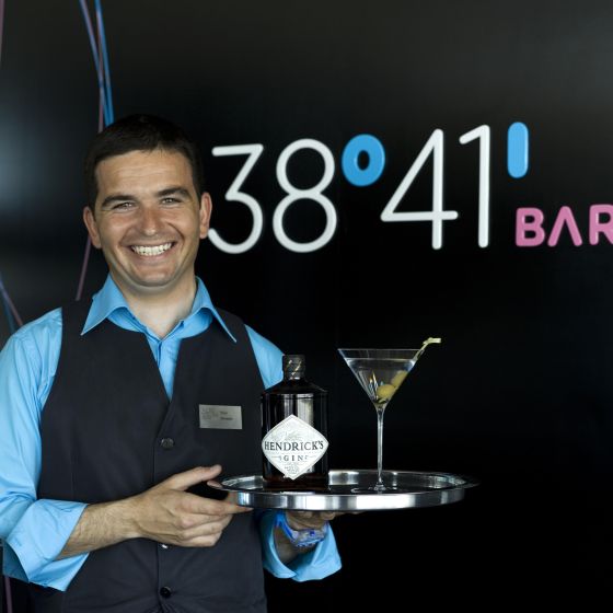 Altis Bel�m Hotel & SPA 09, Lisboa Hotel, ARTEH