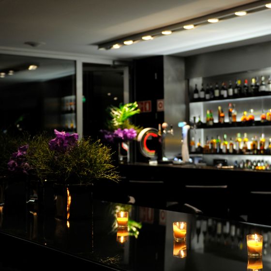 Altis Bel�m Hotel & SPA 11, Lisboa Hotel, ARTEH