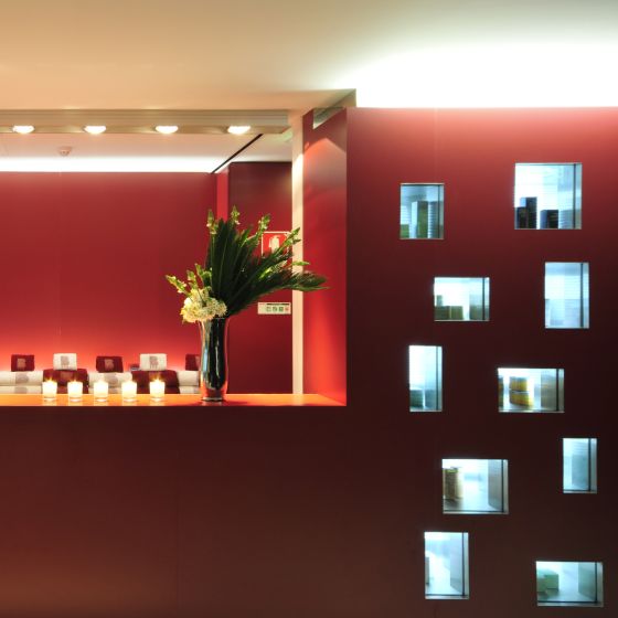 Altis Bel�m Hotel & SPA 29, Lisboa Hotel, ARTEH