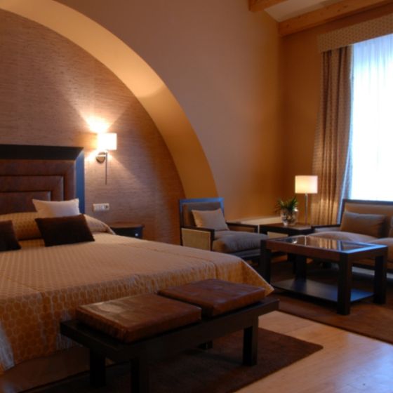 Hospes Palacio de Arenales 08, C�ceres Hotel, ARTEH